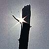 Shine On...